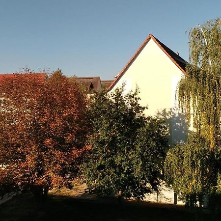 Ferienwohnung Maeurer Leipziger Neuseenland Groitzsch Εξωτερικό φωτογραφία